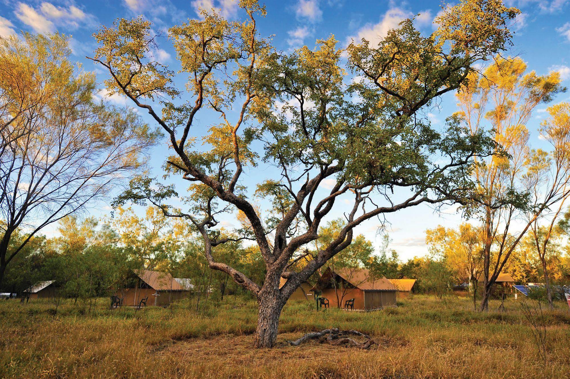 Bungle Bungle Wilderness Lodge Turkey Creek Екстериор снимка